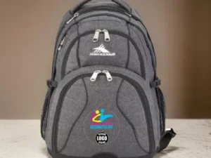 Past Year's Backpack